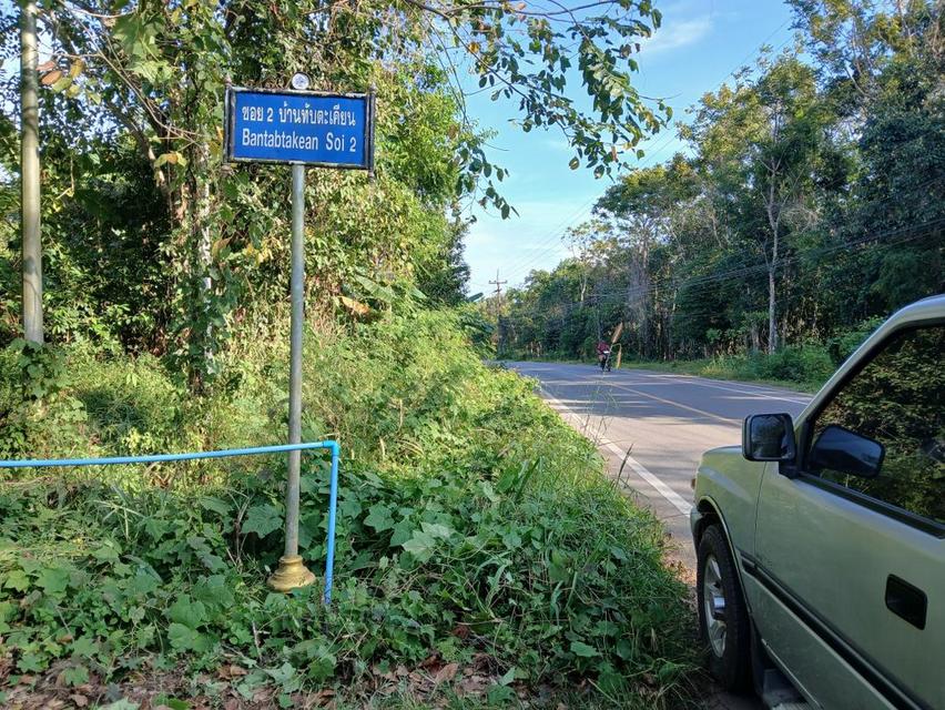 ขายที่ดินเปล่าโฉนด 1 งาน 14 ตร.ว. อยู่ในชุมชน ต.นาชะอัง อ.เมืองชุมพร ห่างศาลากลางจังหวัดเพียง 3 กม. ที่เนินปลอดภัยจากน้ำท่วม