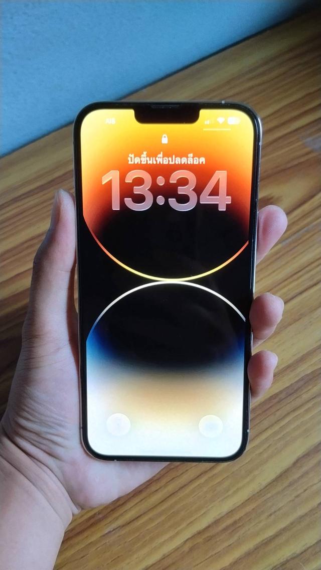 iPhone 13 Pro Max 256 GB