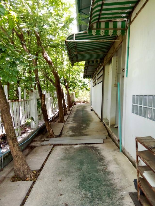Land and buildings for sale, good location, 100 meters from the main road, Phimai District, Korat. 6