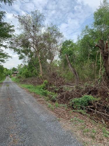 ที่ดินเปล่า 100 ตร.ว. พหลโยธิน87 ซอย6 ต.ประชาธิปัตย์ อ.ธัญบุรี จ.ปทุมธานี 10