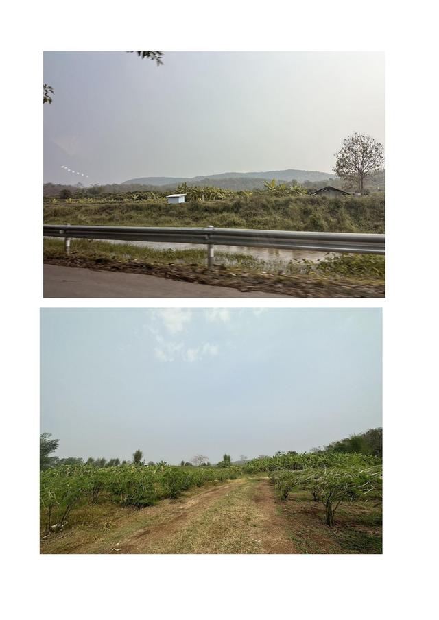 ขายที่ดินเนื้อที่ 563ไร่ เชียงใหม่ แม่แฝก สันทราย 7