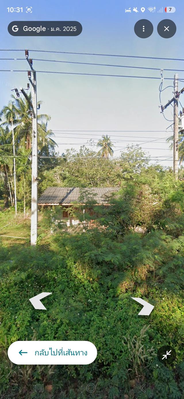ที่ดินสวนปลามพร้อมสิ่งปลูกสร้าง1หลัง 2