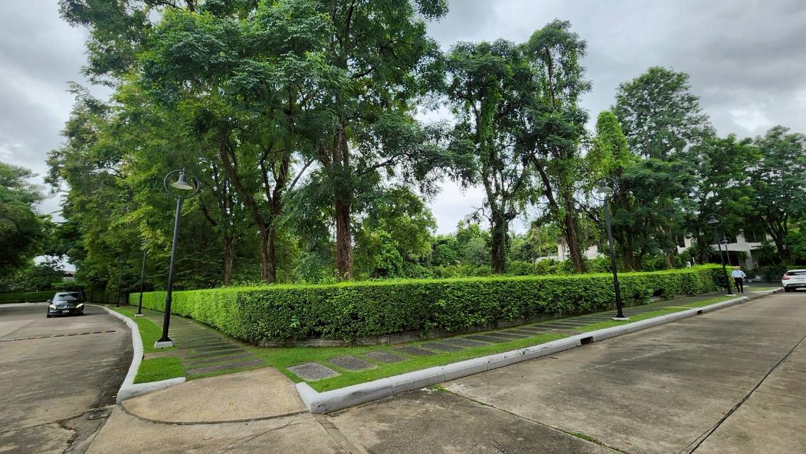 ขายด่วน ที่ดินเปล่า ในโครงการ มบ.สารินปาร์ค เนื้อที่ 437.7 ตรว. (แปลงมุม) แปลงสวย ซ. รัชดา 66 2