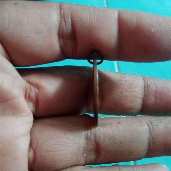 หลวงปู่ทวดวัดช้างให้ รูปที่ 5