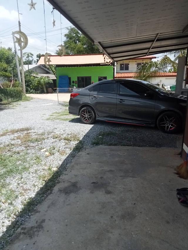 ขายบ้านพร้อมที่ดิน 100 ตรว ต.ตาลเดี่ยวทางเข้าโรงเรียนวัดนาบุญ ห่างถนนแก่งคอยบ้านนา 1.2 กม ขาย 6.5 แสน 9