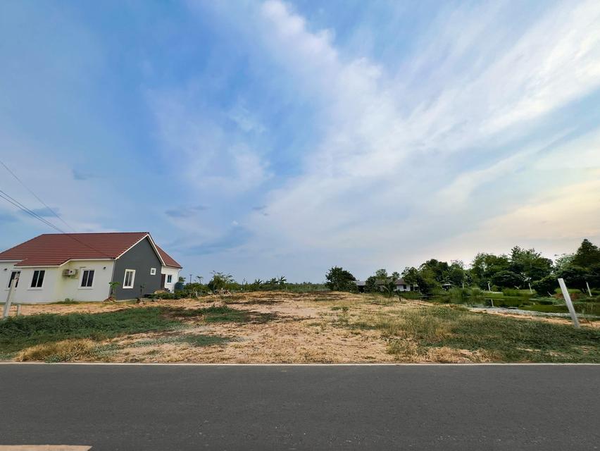 ที่ดินเปล่า 1 ไร่ @บ้านโพธิ์ 3