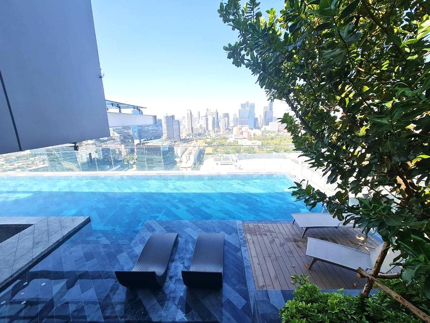 ไซมิส เอ๊กซ์คลูวีฟ ควีนส์ 8