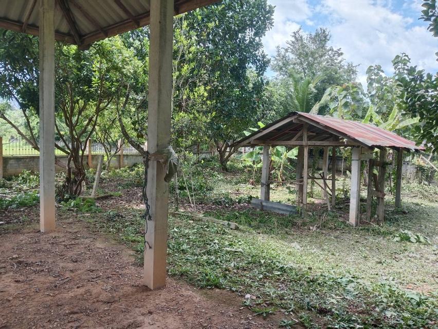 ที่ดิน ตำบลป่าสัก อำเภอวังชิ้น จังหวัดแพร่ 1