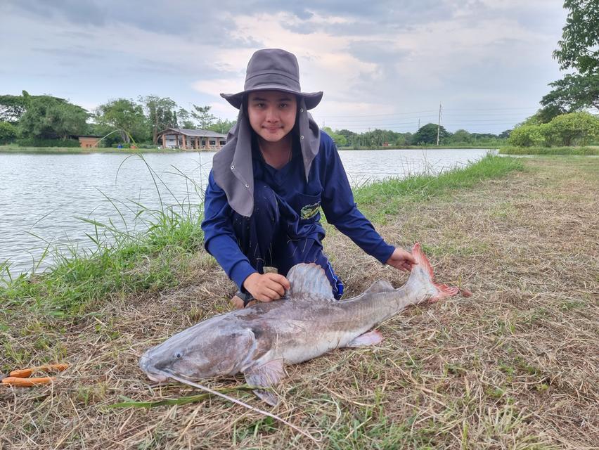 จำหน่าย ปลาใหญ่ ปลาแปลก แบบมีชีวิต 16