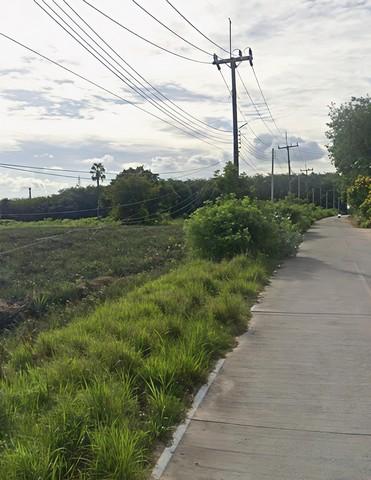 ให้เช่าที่ดินศรีราชาชลบุรี ให้เช่าที่ดิน 10 ไร่ สีม่วงลาย ห่างจากท่าเรือแหลมฉบัง 37 กม. 4