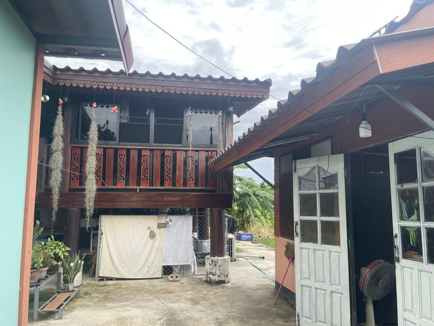 บ้านเดี่ยวพร้อมที่ดิน 5