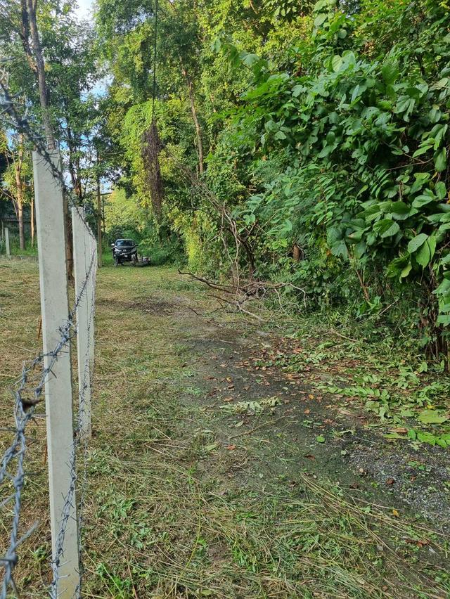 ที่ดินแม่ริม เชียงใหม่ ใกล้แหล่งท่องเที่ยว 3