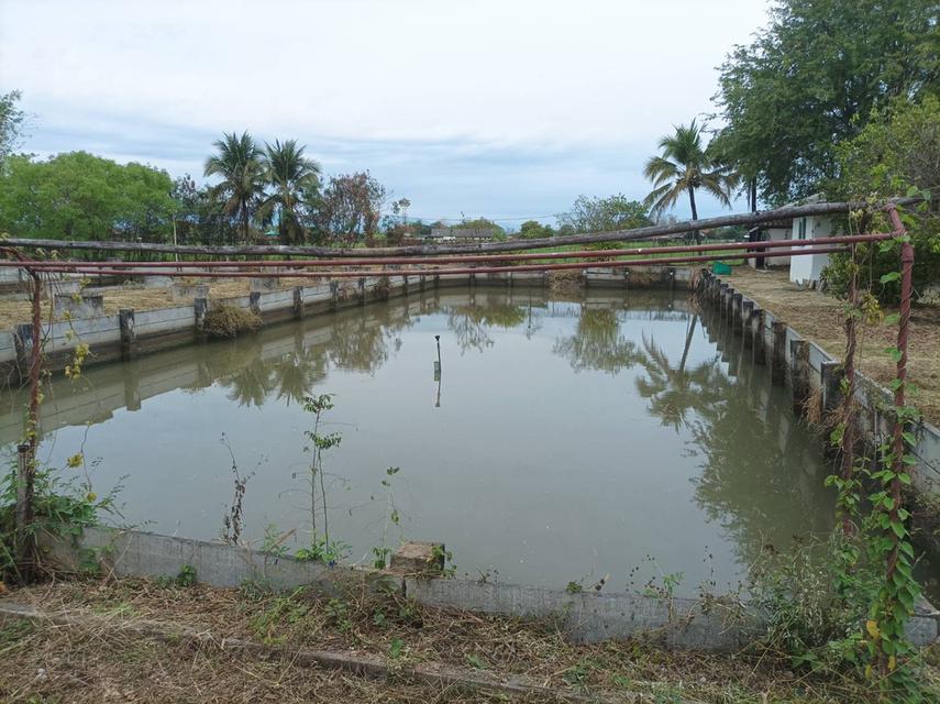 ขายบ้านพร้อมที่ดิน ต.สง่าบ้าน อ.ดอยสะเก็ด จ.เชียงใหม่ 15