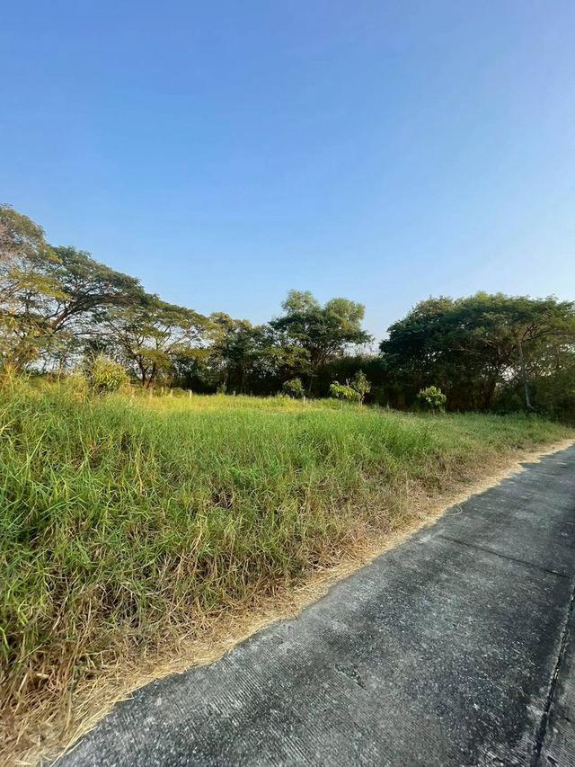 📍🏌️ ทำเลพิเศษ อยู่ในหมู่บ้านมีสนามกอล์ฟ ใกล้รถไฟฟ้าสายสีชมพู 🏌️📍 ที่ดินเปล่า เนื้อที่ 368 ตร.ว. หมู่บ้านกฤษดานคร 25 5