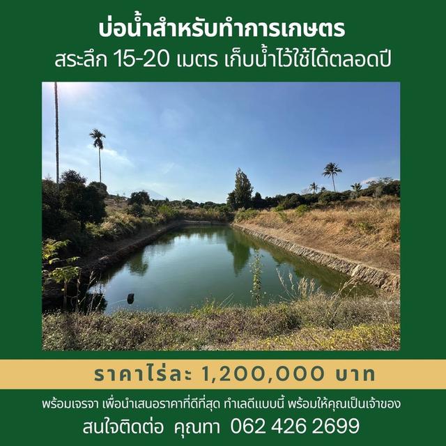 ขายที่ดินด่วน!! พร้อมสิ่งปลูกสร้างและสวนทุเรียนพันธุ์หมอนทอง 450 ต้น 5