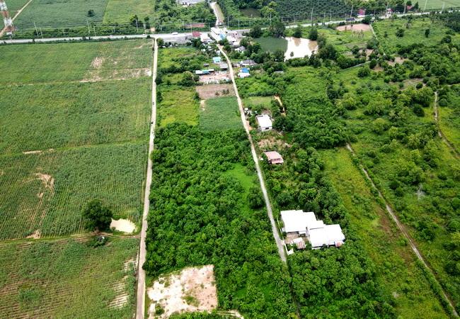 ขายที่ดิน บ่อทอง เทศบาลตำบลธาตุทอง 5 ถนนบ่อทอง ตำบลธาตุทอง อำเภอบ่อทอง ชลบุรี 8