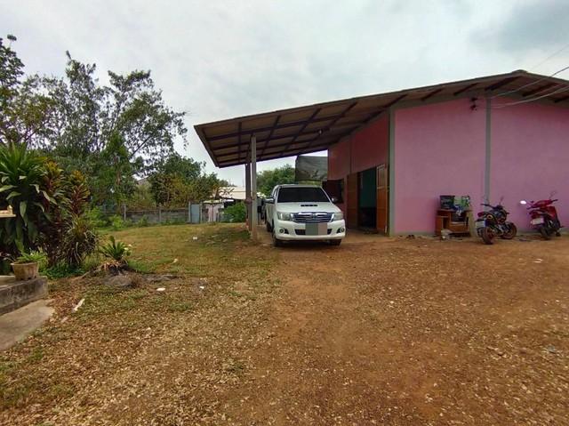 ขายที่ดินพร้อมบ้านเนื้อที่ 140 ตรว. ใกล้วัดหนองปาตอง700เมตร ต.หนองยาว อ.พนมสารคาม ฉะเชิงเทรา 6