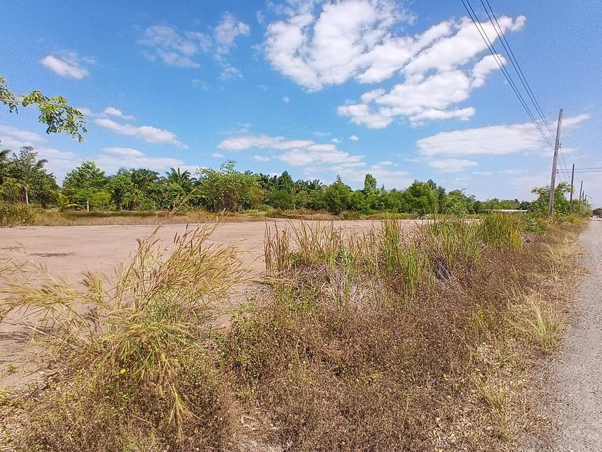 ขายที่ดิน 3 ไร่ คลอง12 ซอยสวนเกษตร2 ต.นพรัตน์ หนองเสือ ปทุมธานี 2