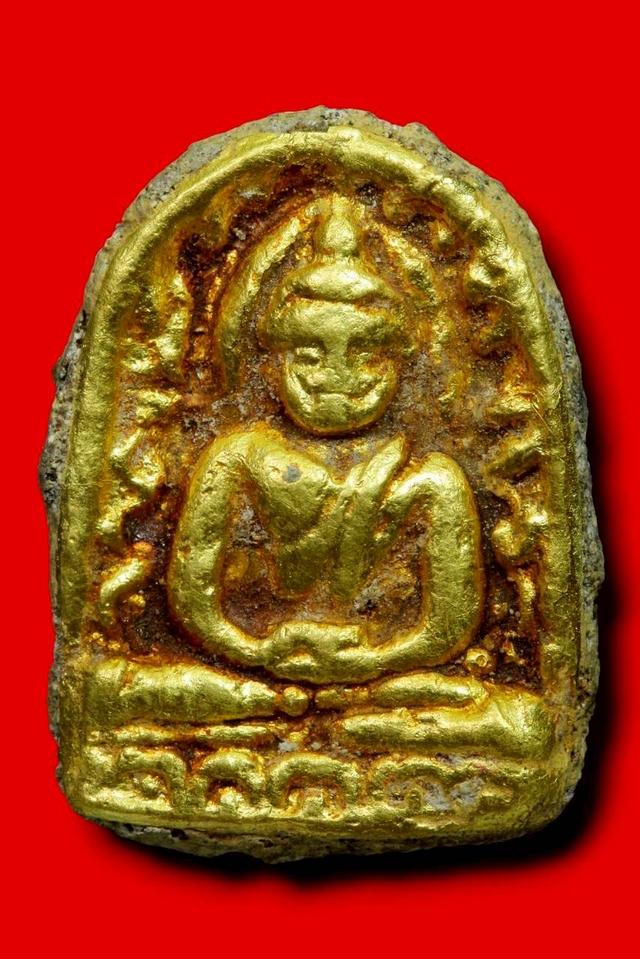 ซุ้มกอเนื้อว่านหน้าทอง