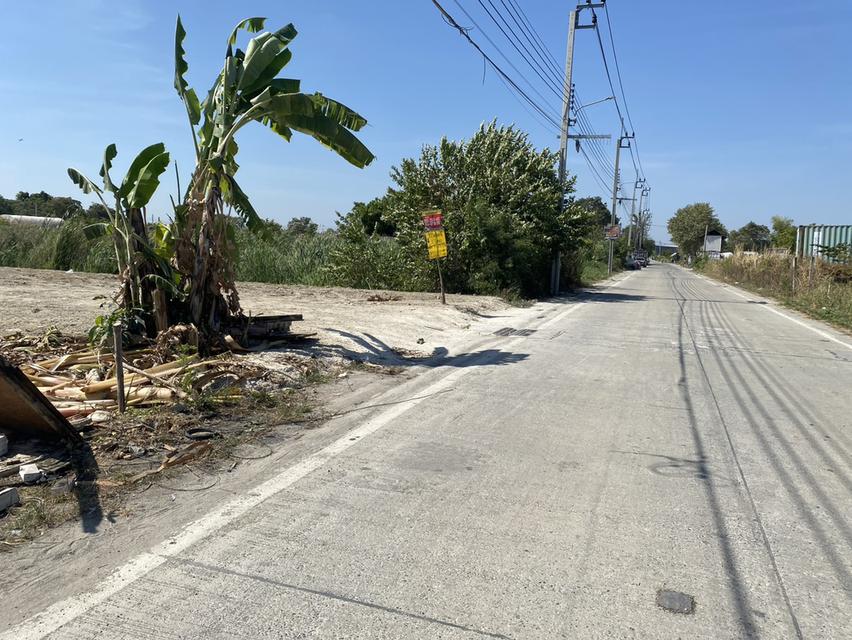 ขายที่ดินเปล่า ติดคลังสินค้า ICD ลาดกระบัง 6