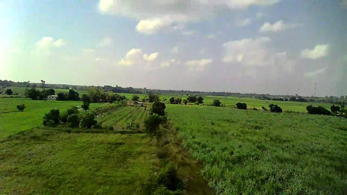 ขายที่ดินเปล่า ทำเลดี ติดถนนปูน ไฟฟ้าถึง จังหวัดสุพรรณบุรี 9