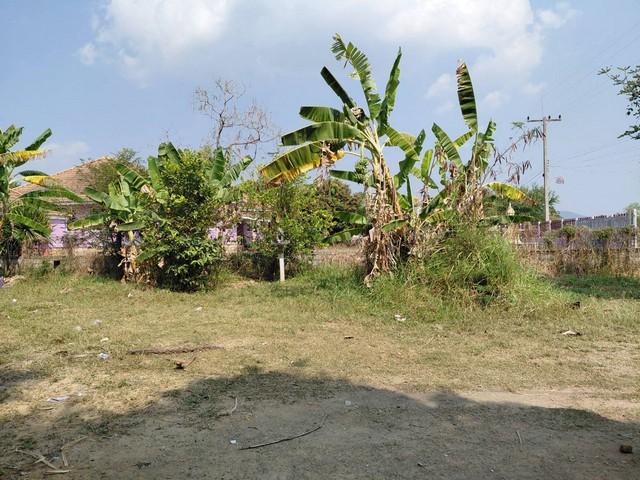 คุยง่ายขายคล่องให้ทางเลือกผ่อนซื้อ ที่ปากช่อง 2ไร่- 8ไร่ โฉนด ต.วังไทร อ.ปากช่อง จ.นครราชสีมา ไร่ละ 2.9 ลบ.สูงจากระดับน้ 1