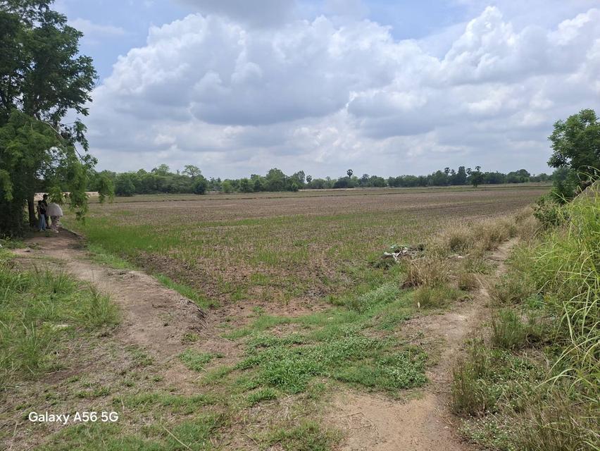ขายที่ดิน 31 ไร่ 322 ตร.วา ติดถนนใหญ่ หนองขาหย่าง อุทัยธานี ผังเมืองสีชมพู 13