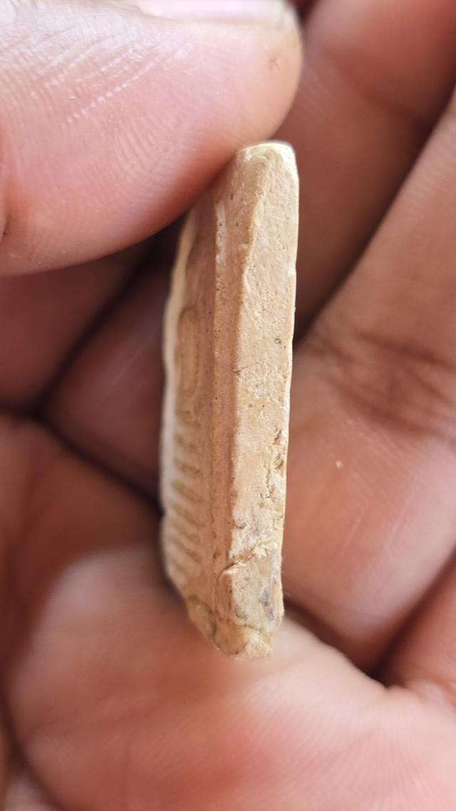 พระสมเด็จพิมพ์ 7 ชั้นหูติ่ง หลวงปู่ภูวัดอินทร์ รูปที่ 8