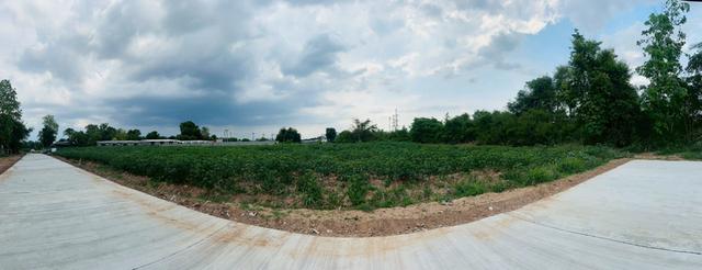 ข่าวดี.📢(9,000บ./วา) ในเมืองโคราชใกล้เซฟวัน  #ที่ดินจัดล็อค เฉลี่ย.(1 ไร่.ะ3.6 ล้าน) | หลังเจ้าสัวโคราช. | *น้ำไม่ท่วม. | ราคาถูกพิเศษ หายาก!! 4