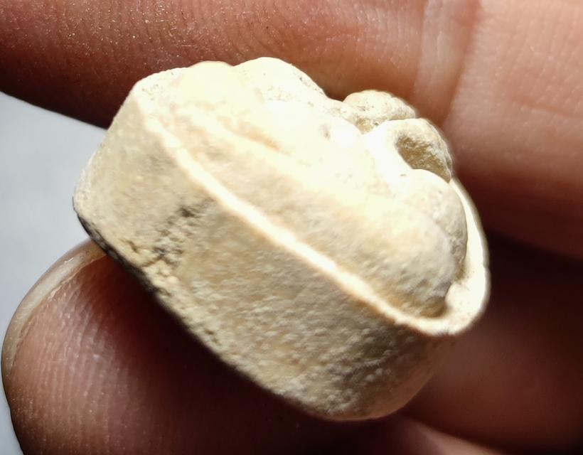 พระปิดตาหลวงปู่โต๊ะคะ รูปที่ 5