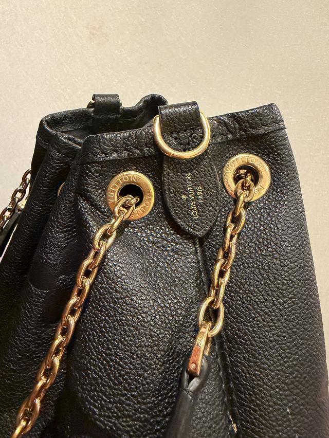 Louis Vuitton bag for collectors 2