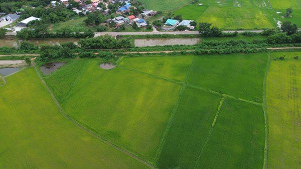 Land for sale Chaiyaphum ขายที่ดินชัยภูมิ มี 2 แปลง สามารถถมดิน ทำบ้าน ทำธุรกิจค้าขายได้ โทร 061-1195112 6