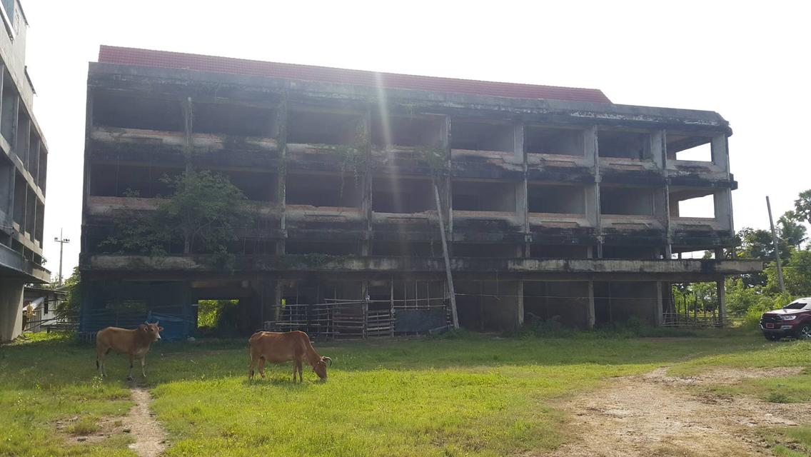 ที่ดินและสิ่งปลูกสร้าง 9