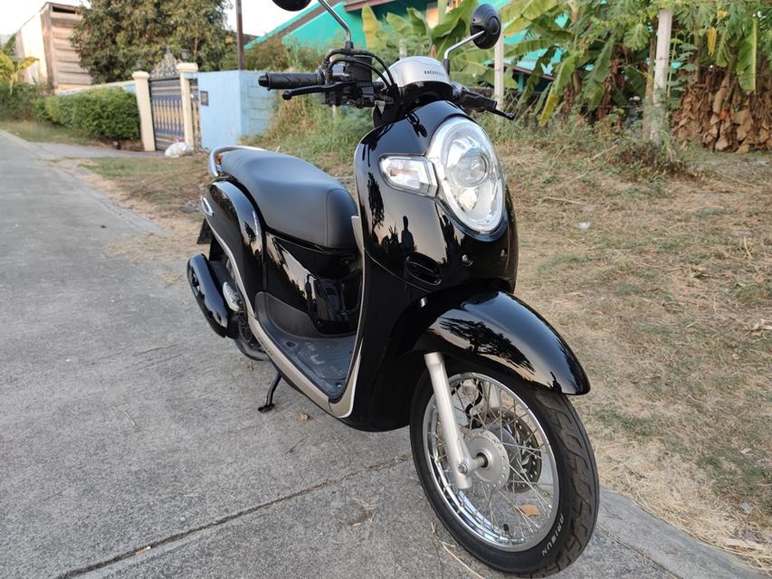 เก็บปลายทาง  Honda scoopy i สด-ผ่อน 5