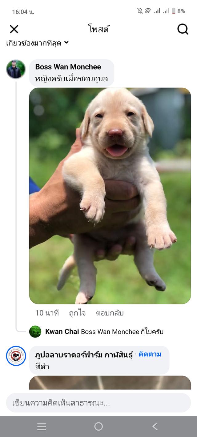 สุนัข 6