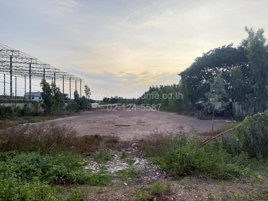 ที่ดินเปล่า ใกล้โรงเรียนเทศบาล 1 (ขจรเนติยุทธ) ถนนลำลูกกา ต.คูคต อ.ลำลูกกา จ.ปทุมธานี 5
