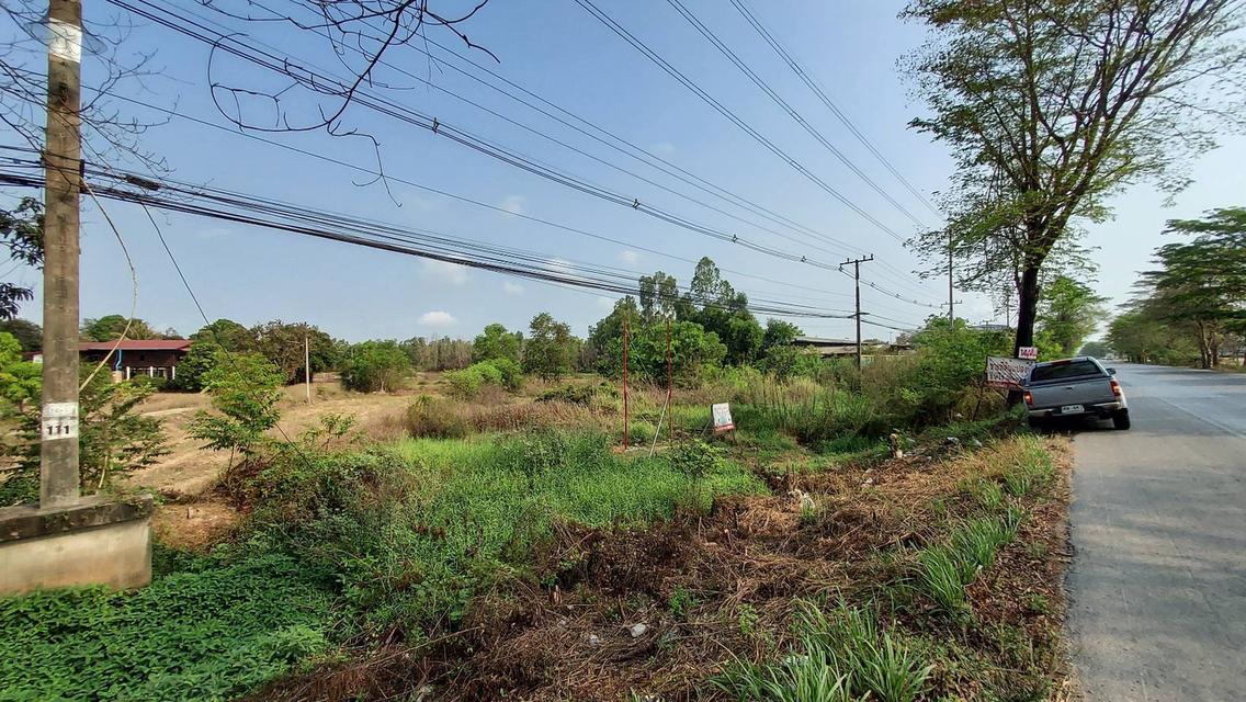 ขายที่ดิน (地皮出售) 4