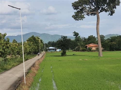 ที่ดิน เหาะสร้างบ้าน ราคาถูก