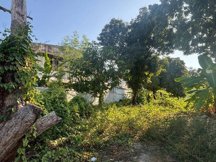 ที่ดิน อสังหาริมทรัพย์ 10