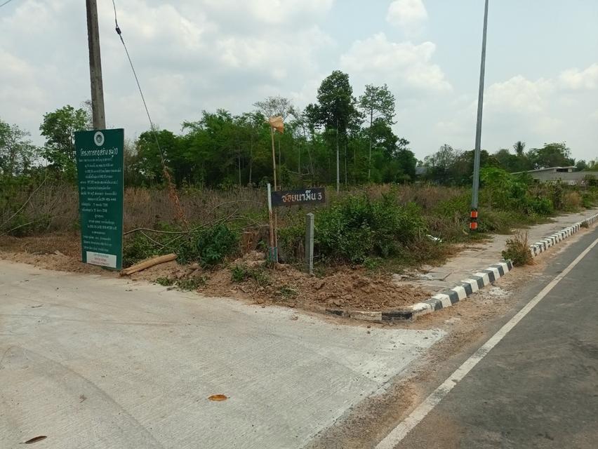 ที่ดินเปล่า ติดถนน 11