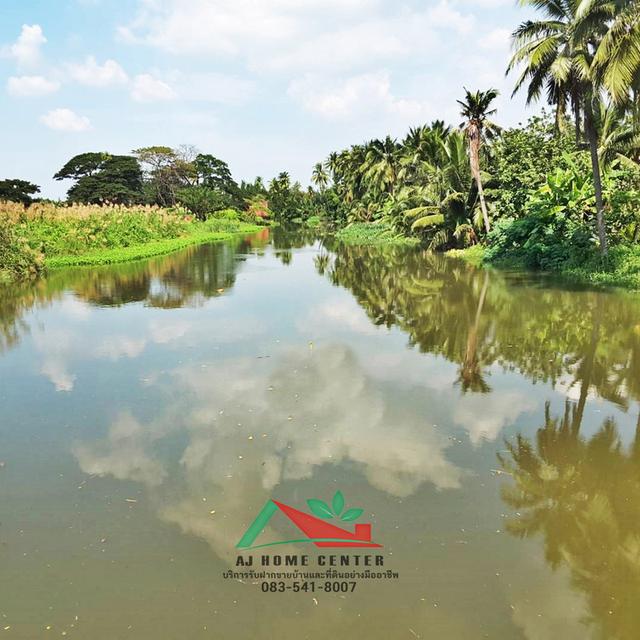 ขายบ้านทรงไทยประยุกต์ริมน้ำ ขนาด1-0-42ไร่ ซ.หอมเกร็ด18 สามพราน ใกล้ตลาดดอนหวาย 14