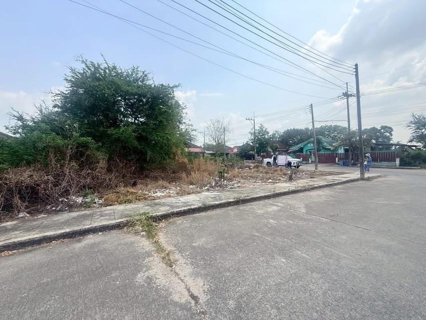 ขายด่วนที่ดิน 116 ตารางวา ติดถนนคอนกรีตโครงการ เลคไซด์วิล คลอง10 ลำลูกกา จ.ปทุมธานี 2