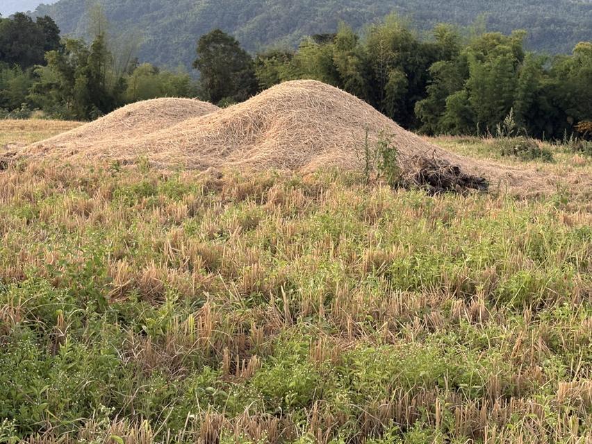 ⛰️ จุดที่สูงที่สุดและสวยที่สุด อ.น้ำหนาว จ.เพชรบูรณ์ 30ไร่ 6 ล้านบาท ห่างจากถนนเส้นหลัก(2216) 🛣️ แค่ 600 เมตร ห่างตัวเมือง1กิโล 5