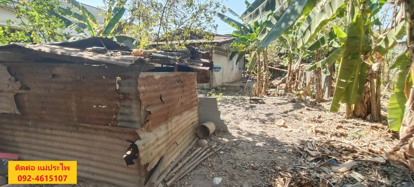 ที่ดิน มีสิ่งปลูกสร้าง 245 ตรว. หนองคาย 9