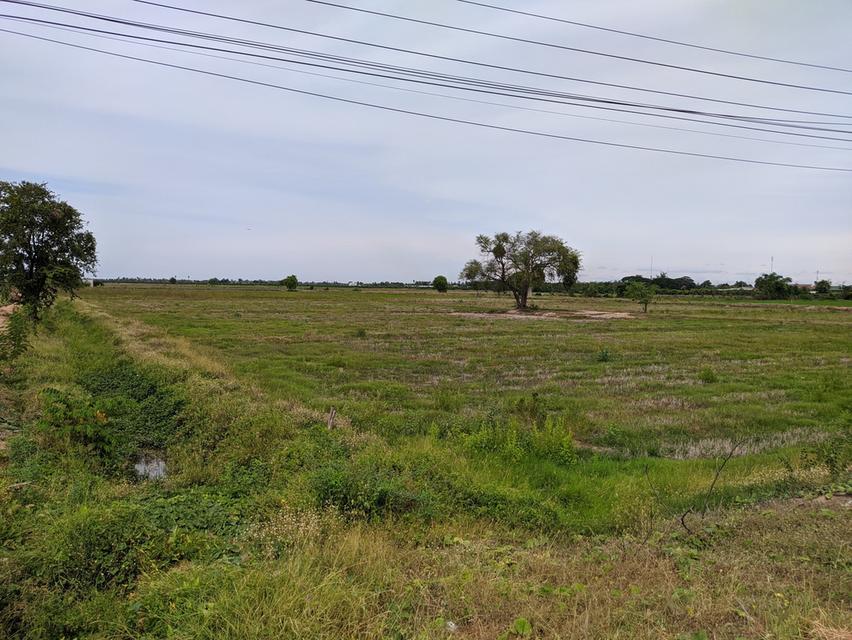 ที่ดินจังหวัดสุพรรณบุรี 4