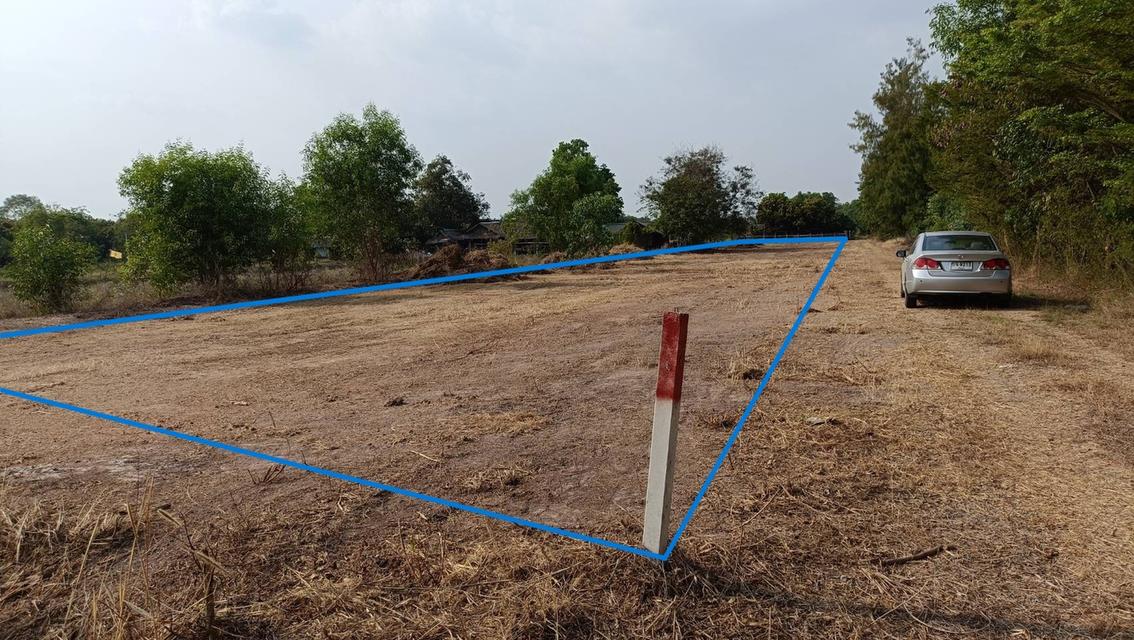 ขายที่ดินเนื้อที่ 2 ไร่ ติดรีสอร์ทบ้านสกายฟราวเวอร์ ต.หนองหมู อ.วิหารแดง จ.สระบุรี 1