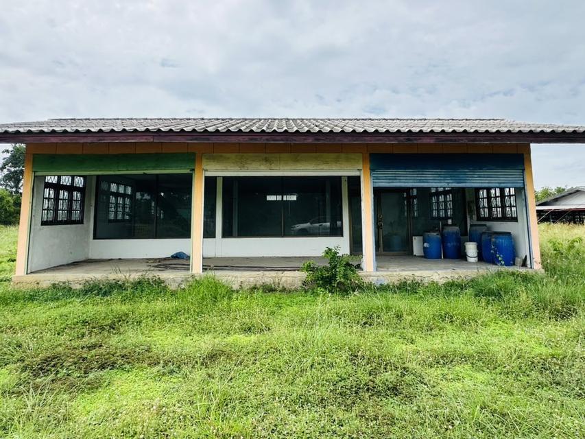 ขายที่ดิน หนองแซง สระบุรี ถมแล้ว 1.2ล้าน/ไร่ 12