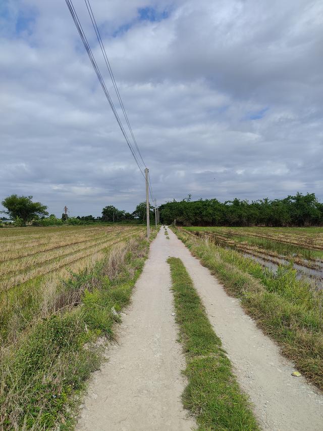 ขายที่ดิน ถนนคลองสิบ-สิบสี่ ซอย7 แขวงคลองสิบ เขตหนองจอก กรุงเทพฯ 5