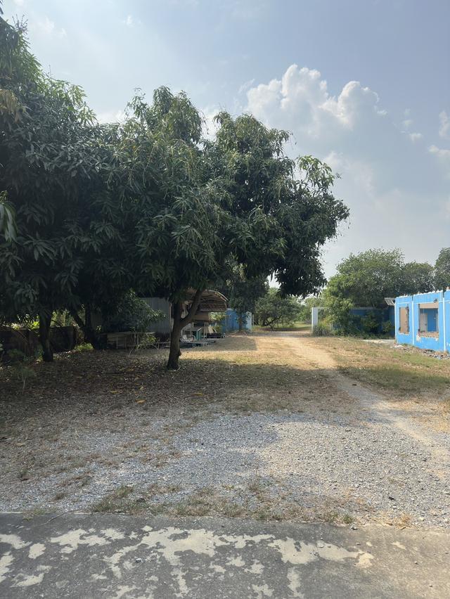 ขายที่ดิน 9 ไร่ 3 งาน อ.คลองหลวง จ.ปทุมธานี ทำเลทอง บรรยากาศดี ใกล้ถนนคลองหลวง 1