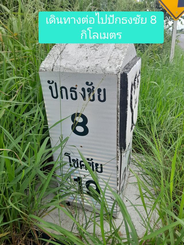 ที่ดินเปล่าติดถนนใหญ่ถ.เดชอุดม-โชคชัย หน้ากว้าง 250ม. 3